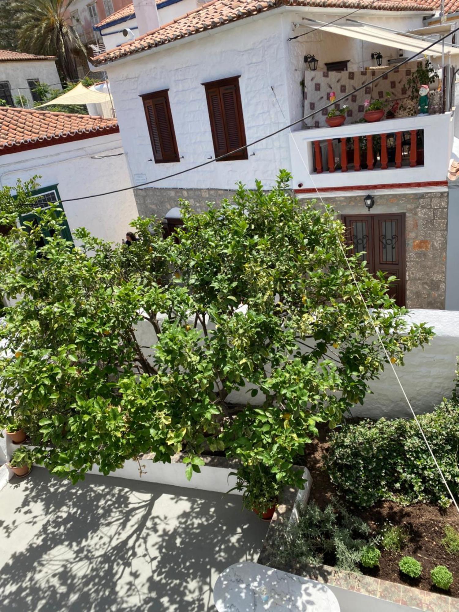 Douskos Uptown Living Hotel Hidra Exterior foto
